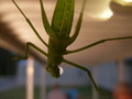 2007-Louisiana-Mission-Trip EBC (208).JPG